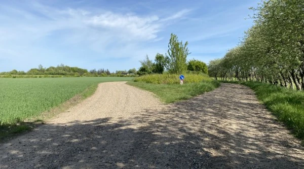 Harup Høi - på strækningen mellem grusgravene ved Viborg/Herningvej og Skelhøje