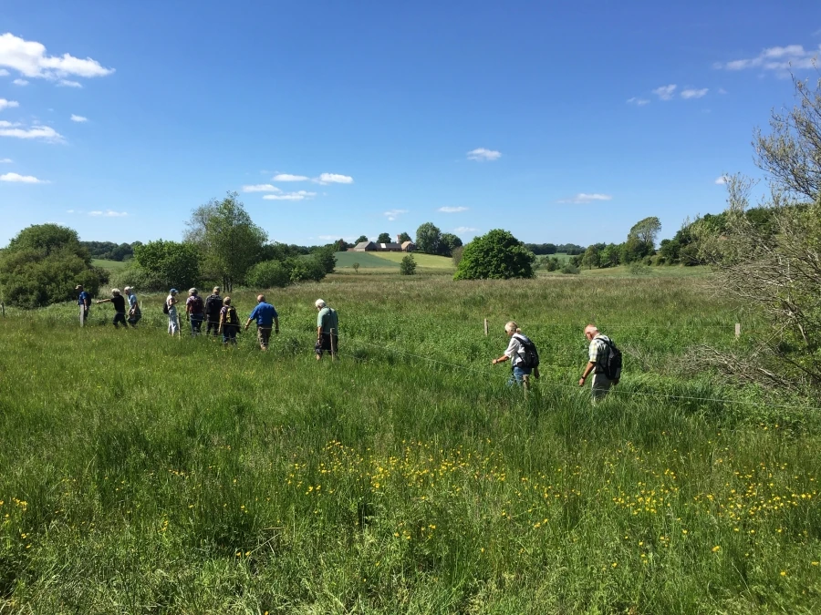 Smollerup sporet ved Ådalen og Harredstruplund 