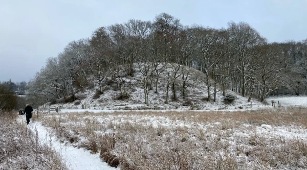 Drost Peders høj ved Smollerup
