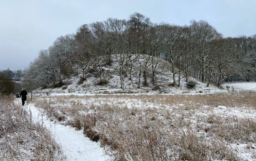 Drost Peders høj ved Smollerup - set fra vest