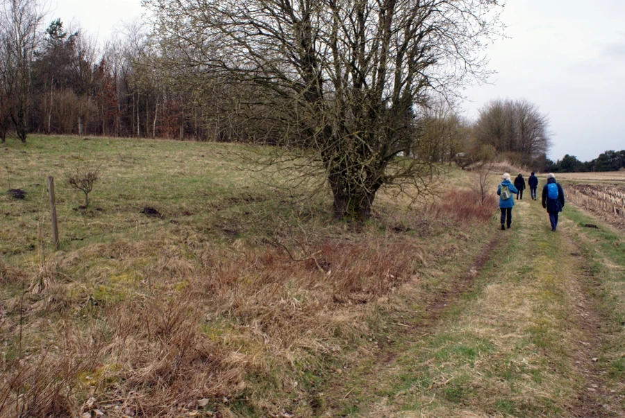 Vandrere på stien ved Fløjgårde dal.