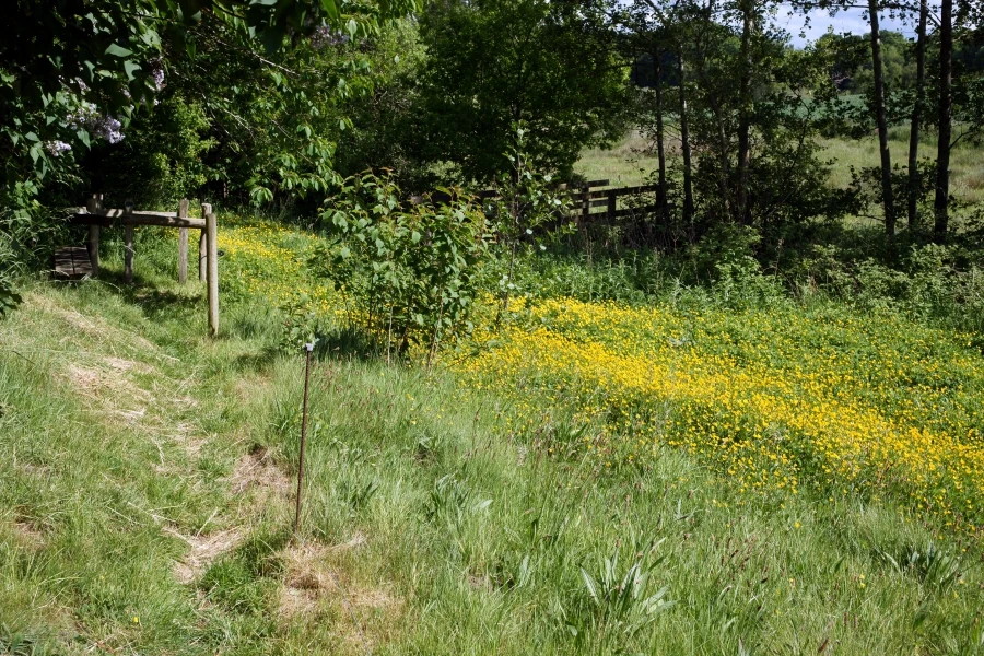 Ådalen og Harrestruplund Enge