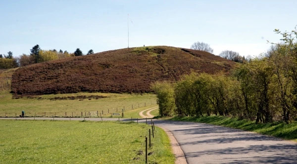 Daugbjerg Dås