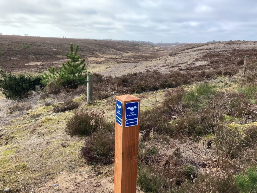 Heden ved Pouls hytte