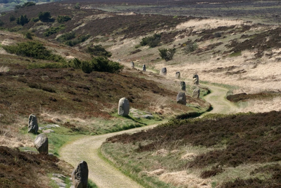 Sti til Mindedalen på Kongenshus Hede